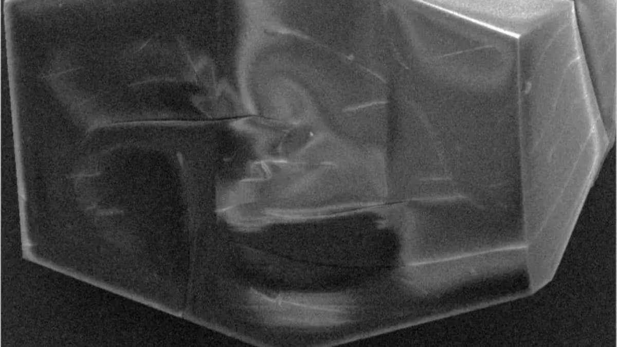 Rahasia Kuantum Proton: Mengungkap Cara Baru Energi Bergerak dalam Tubuh Kita