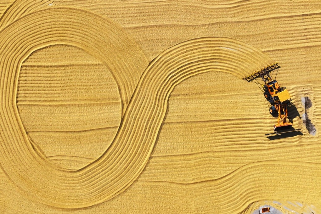 Rahasia Genetik Akar Padi Ungkap Cara Baru Tanggulangi Kekeringan