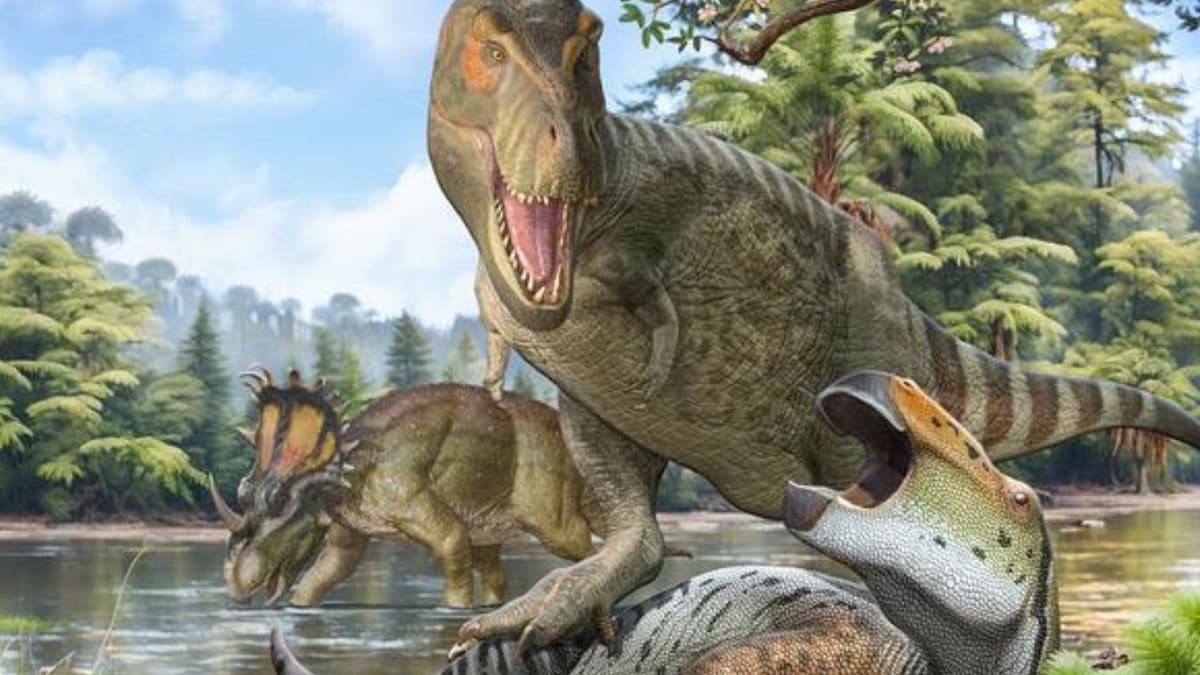 Asal Usul Tyrannosaurus Rex: Nenek Moyang Berasal dari Asia, Bukan Amerika