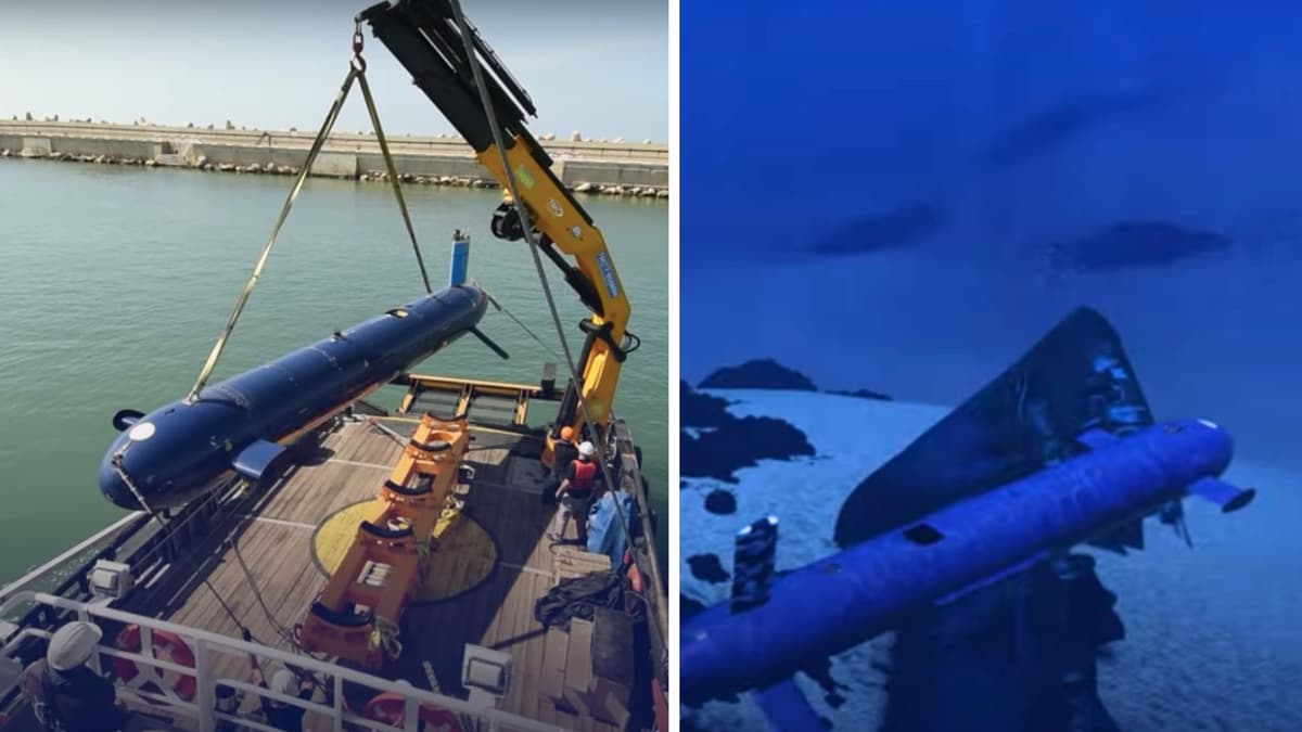BlueWhale: Kapal Bawah Air Otonom Israel dengan Stealth dan Endurance Tinggi