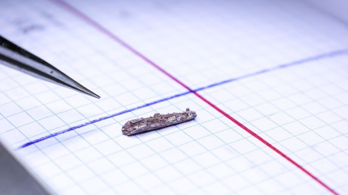 Fosil Ikan 225 Juta Tahun dari Texas Ungkap Evolusi Rahang Predator Mirip Ikan Modern