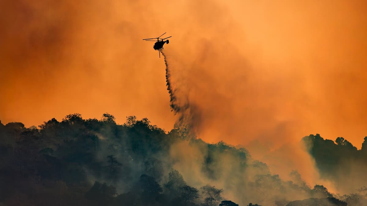 Asap Kebakaran Hutan Karena Perubahan Iklim Sebabkan 15.000 Kematian di AS