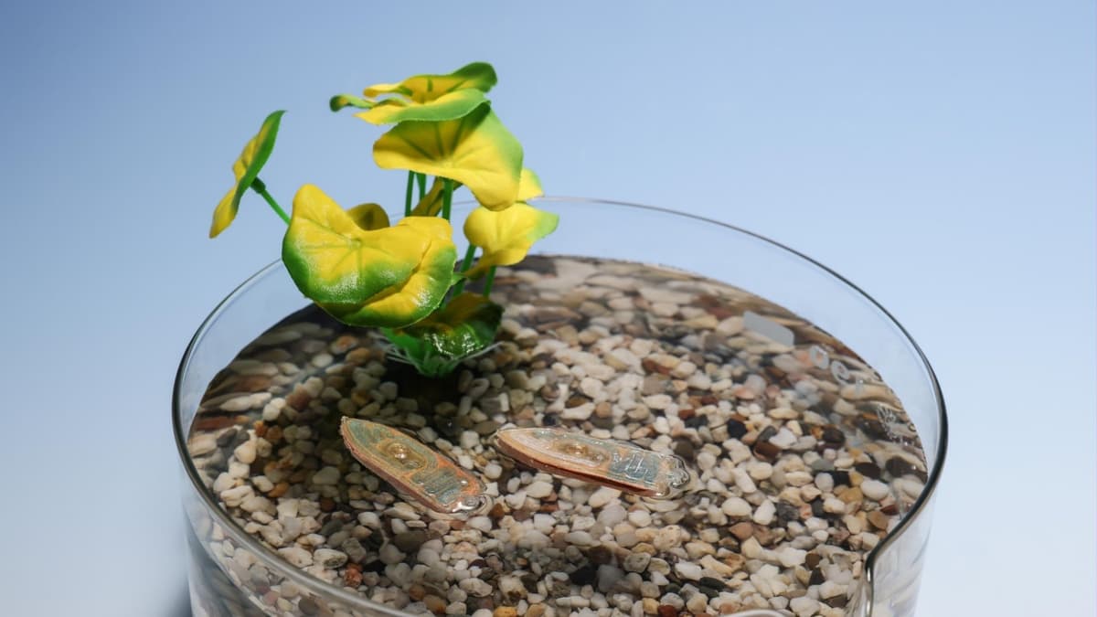 Robot Mini Edible: Solusi Ramah Lingkungan untuk Pantau Kualitas Air