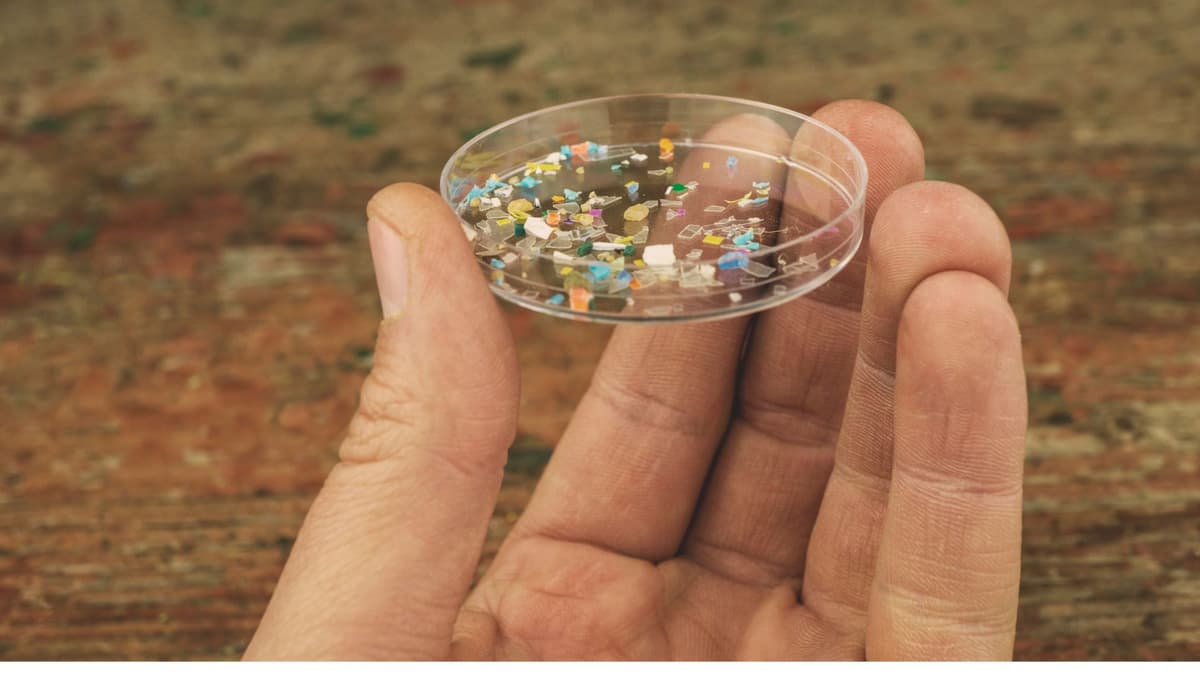 Nanoplastik dari Sampah Plastik Serap Logam Berbahaya Bahayakan Kesehatan