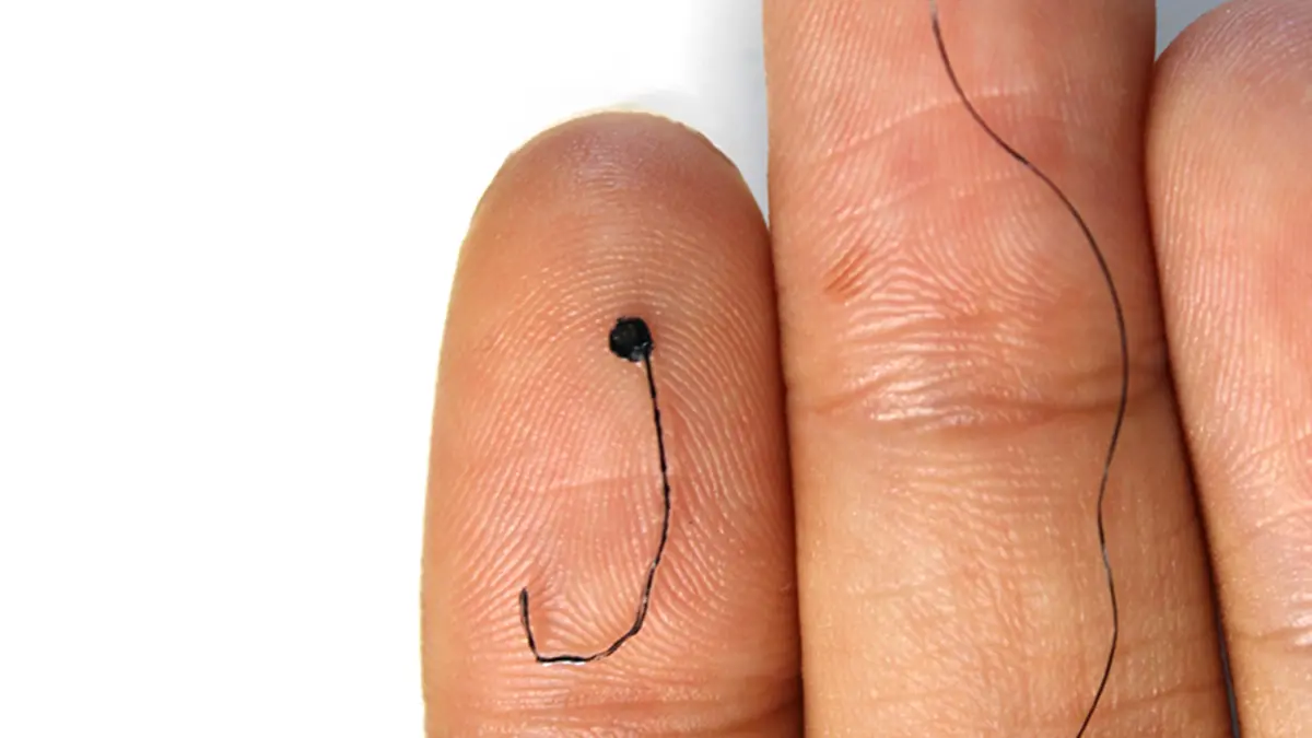 Elektroda EEG Tipis dan Fleksibel dari Hidrogel untuk Pantau Otak Lama Tanpa Ribet