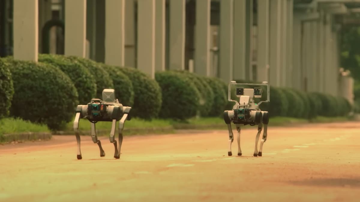 Robot Anjing di Singapura: Inovasi Canggih untuk Keamanan dan Layanan Sosial