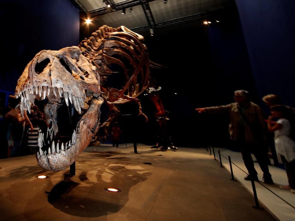 Nenek Moyang T-Rex Ternyata Berasal dari Asia, Bukan Amerika
