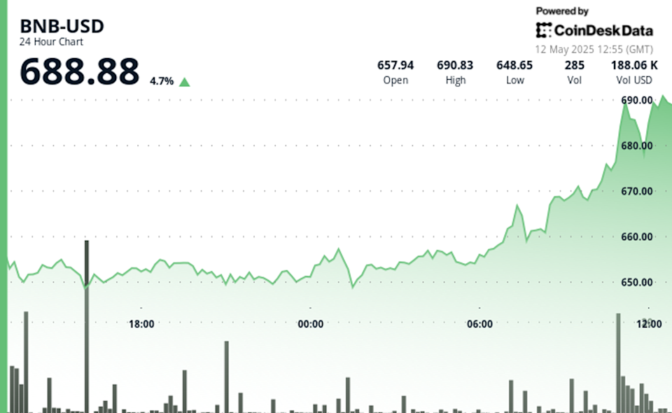 BNB Kuat di Tengah Ketegangan Global, Investor Institusional Mulai Akumulasi