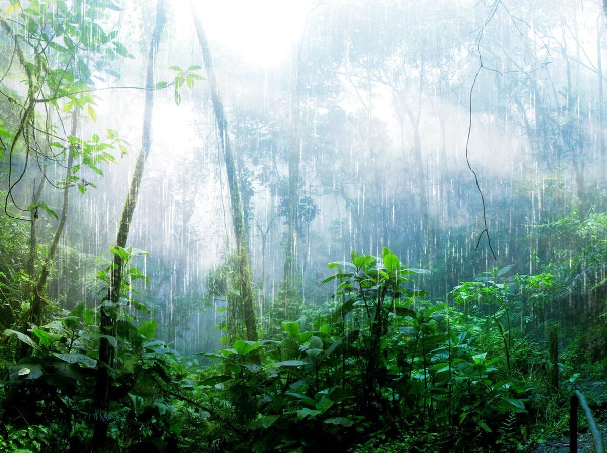 Perubahan Iklim Picu Penyebaran Jamur Mematikan Aspergillus di Dunia