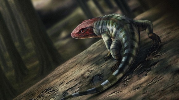 Penemuan Jejak Cakar Fosil Ungkap Amniota Tertua di Australia