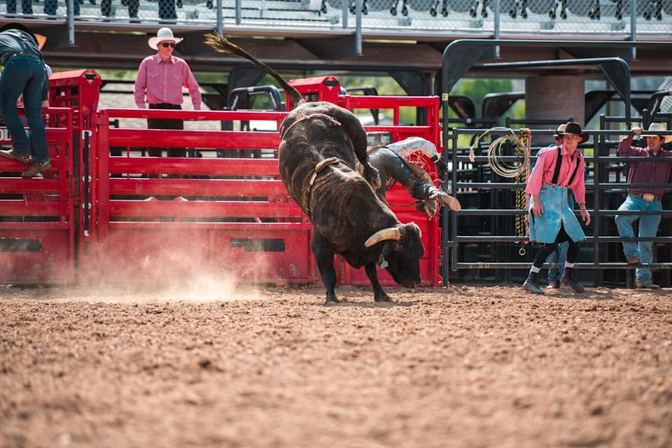 Keberhasilan IPO eToro di Nasdaq dan Proyeksi Pertumbuhan Kripto