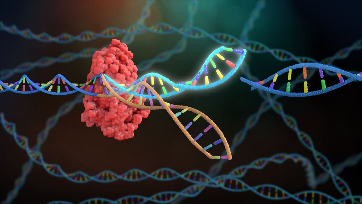 Terobosan Terapi Gen CRISPR Personalisasi Sembuhkan Bayi Dengan Penyakit Langka