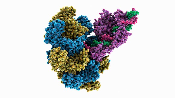 Teknologi Baru evoCAST Memungkinkan Penyisipan Gen Utuh Tanpa Merusak DNA