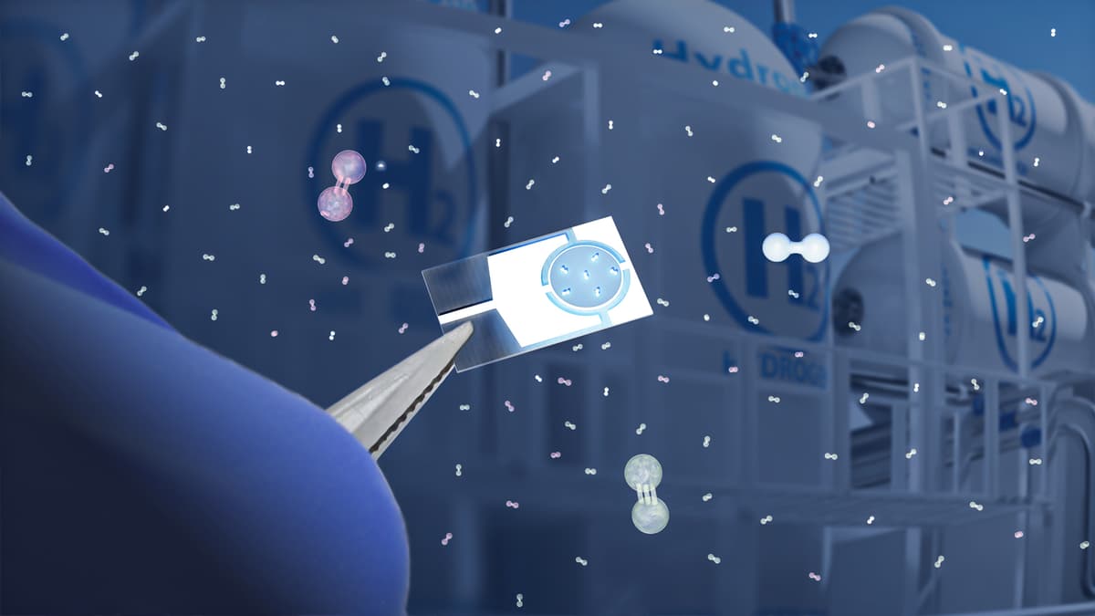 Sensor Hidrogen Ultra-Sensitif dan Hemat Energi dari Polimer Inovatif KAUST