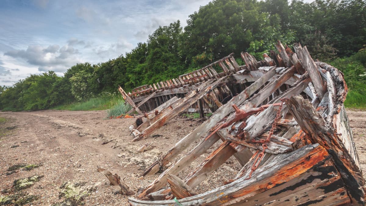 Anak Kanada Temukan Reruntuhan Kapal Abad ke-19 dengan Detektor Logam