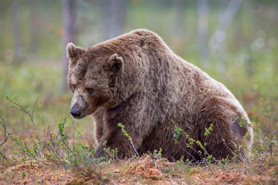 Kenaikan Ether Didominasi Short Covering, Bukan Minat Beli Baru