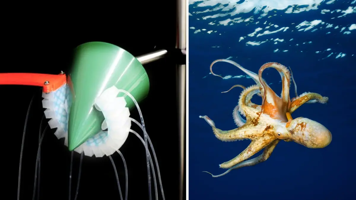 Robot Lunak Mirip Gurita yang Bisa Merasakan dan Menggenggam dengan Pintar