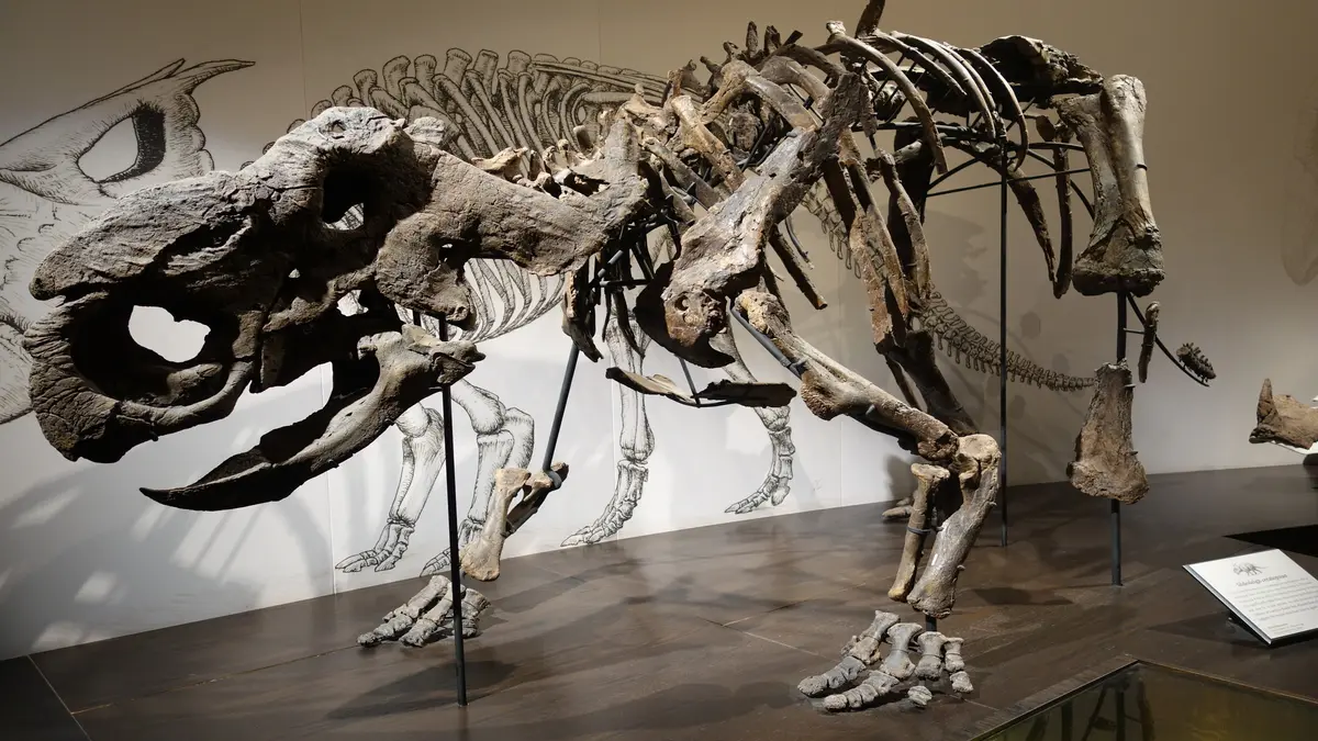 Penemuan Fosil Padat di Alberta Ungkap Kisah Tragedi Kawanan Dinosaurus