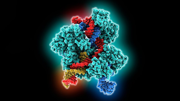Penggunaan Perdana Prime Editing untuk Terapi Penyakit Imun Langka