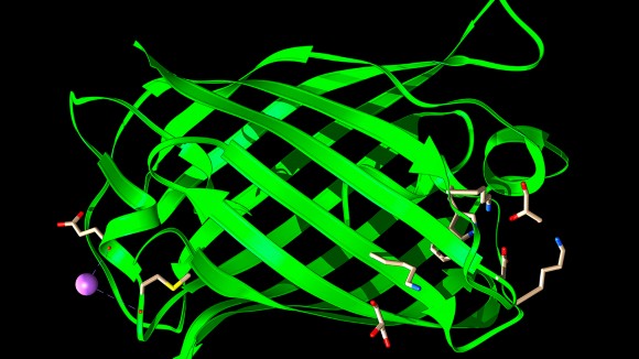AI dengan Bahasa Sehari-hari: Revolusi Desain Protein untuk Masa Depan Bioteknologi