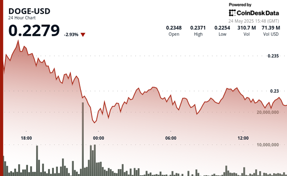 Dogecoin Tunjukkan Ketahanan di Tengah Tren Bearish Pasar Cryptocurrency