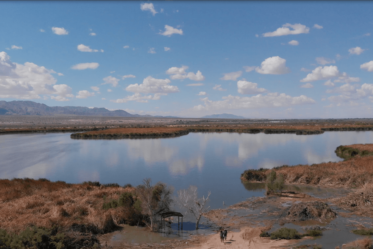Las Arenitas: Oase di Gurun yang Menyelamatkan Burung dan Sungai Mexicali