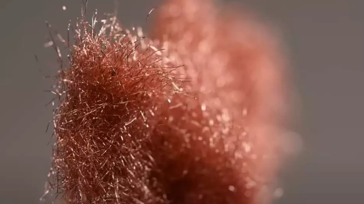 Teknologi Elektroda Baterai Baru: Lebih Tebal, Isi Ulang Lebih Cepat, dan Lebih Hemat