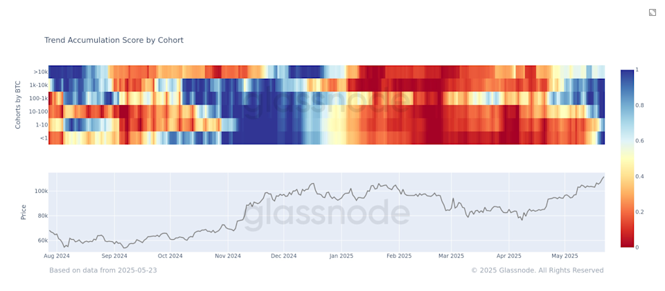 Bitcoin Memasuki Fase Akumulasi Kuat, Tanda Awal Bull Market Baru?