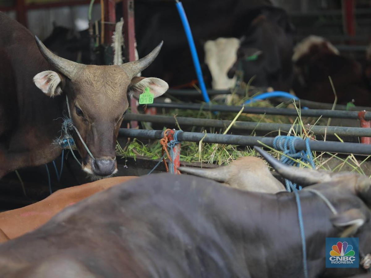 Sidang Isbat Penetapan Hari Raya Idul Adha 1446 H Dilaksanakan 27 Mei 2025