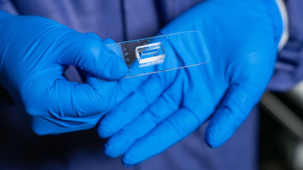 Inovasi Chip Mikrofluida untuk Meniru Pembuluh Darah Manusia dan Percepat Penelitian Penyakit Vaskular