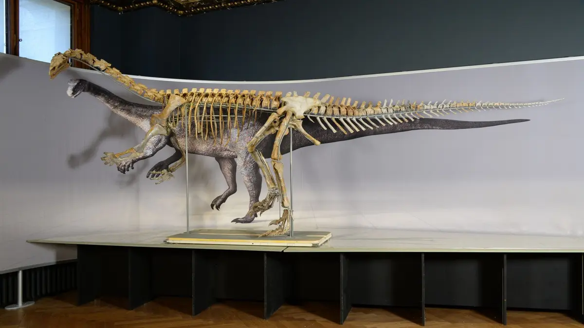 Plateosaurus Gunakan Ekor Cambuknya Sebagai Senjata Pertahanan Kuat