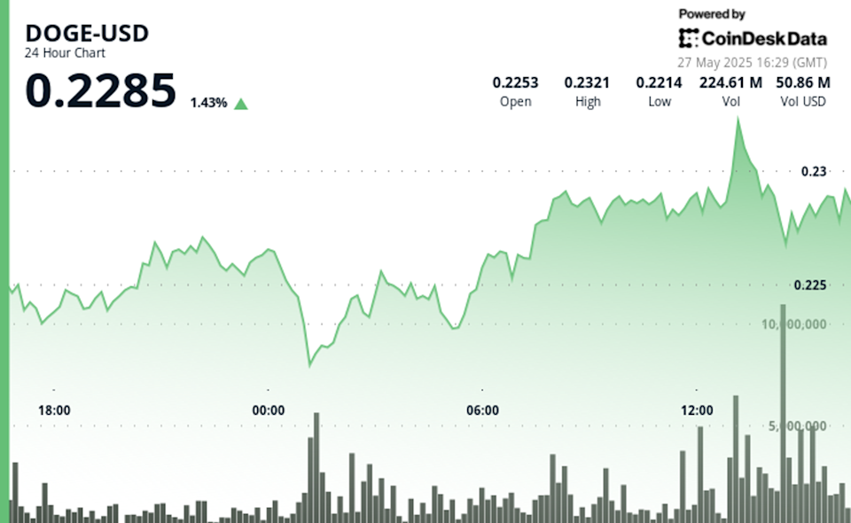 Dogecoin Tunjukkan Kekuatan dan Potensi Kenaikan di Tengah Gejolak Pasar Crypto