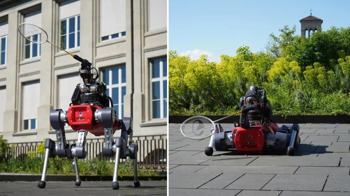 Robot Berkaki Empat di ETH Zurich Bisa Main Bulutangkis Melawan Manusia