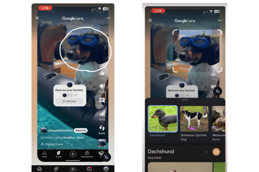 YouTube Luncurkan Fitur Lens di Shorts untuk Cari Info Objek Video