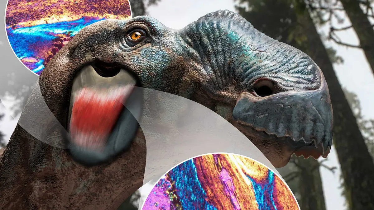Penemuan Exoparia di Dinosaurus Mengubah Pandangan Tentang Anatomi Mereka