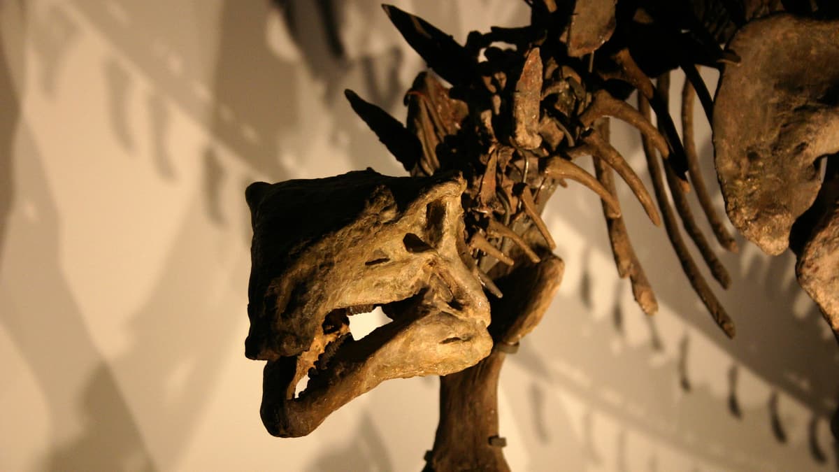 Penelitian Fosil Dinosaurus Ungkap Rahasia Kanker dan Potensi Terapi Baru