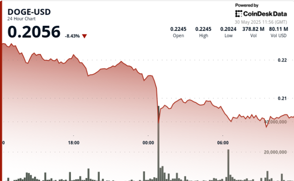 Penurunan Tajam Dogecoin: Peluang dan Tantangan Bagi Para Trader