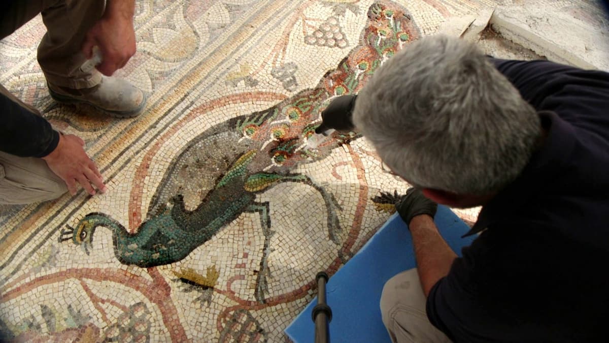Mosaik Bizantium Be’er Shema yang Menakjubkan Kini Dibuka untuk Umum di Israel