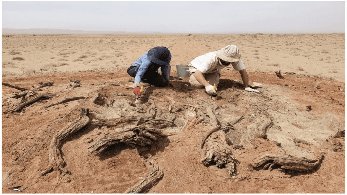 Rahasia Tembok Gobi: Pencapaian Arsitektur dan Kontrol Wilayah Abad Pertengahan