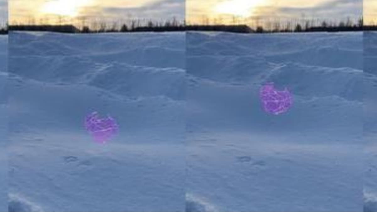 Robot Metashell Melompat Terprogram untuk Dispersi Benih Otomatis di Pertanian