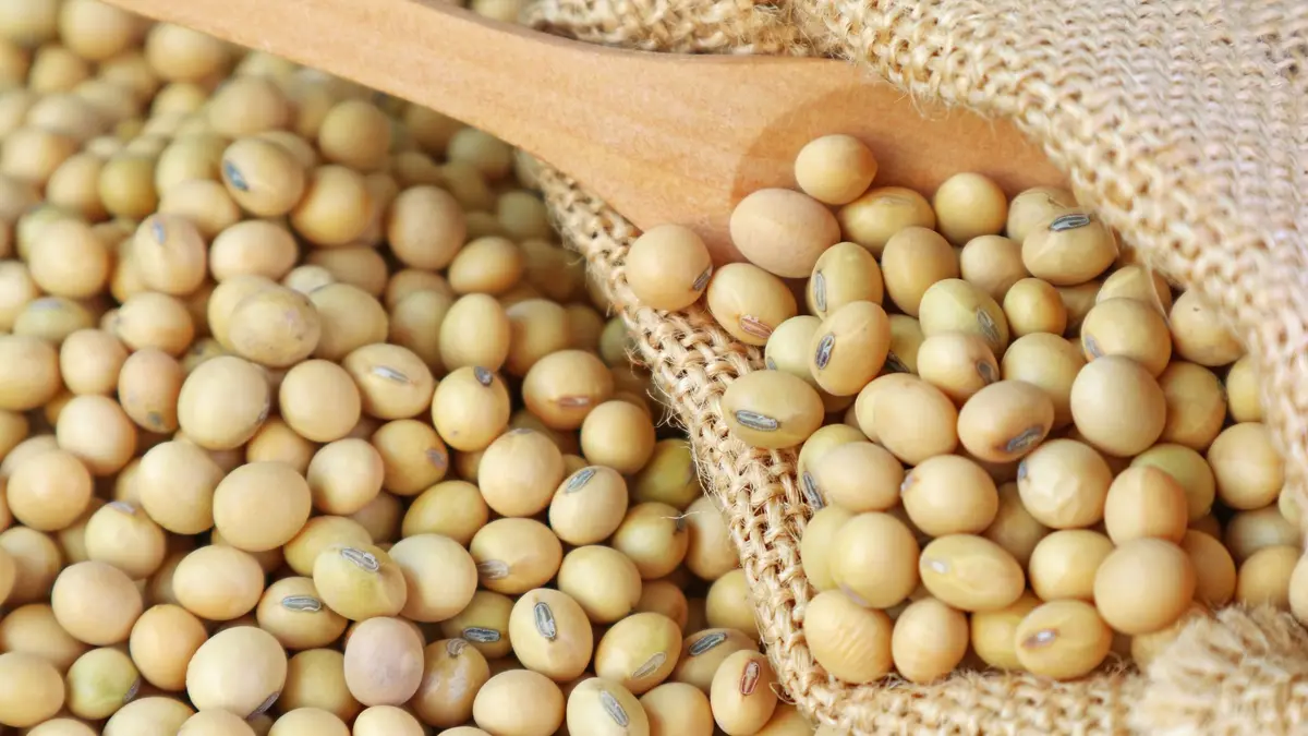 Diet Vegan Rendah Lemak Efektif Redakan Hot Flashes dan Turunkan Berat Badan Wanita Menopause