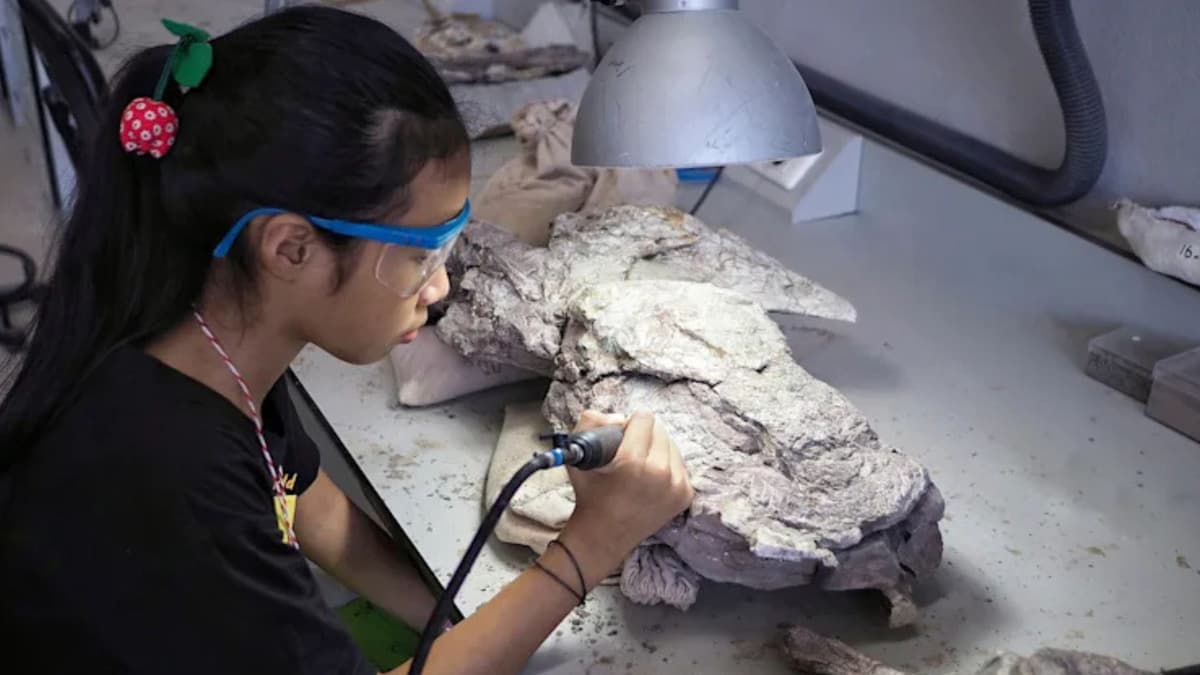 Mengungkap Misteri Kepunahan Megafauna Australia Lewat Kolagen Kuno