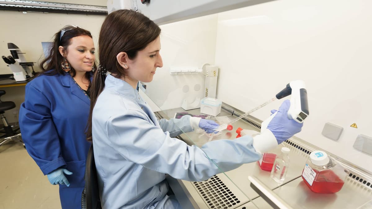 Terobosan Obat Blokir Enzim HDAC6 untuk Sembuhkan Fibrosis Hati