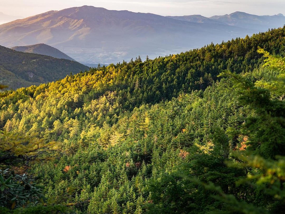 Populasi Manusia Pertama Amerika Selatan Hilang Digantikan Gelombang Migrasi Baru