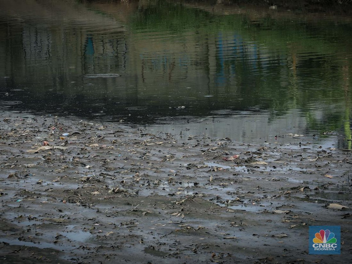 BMKG Prediksi Puncak Musim Kemarau Indonesia Tahun 2025 Dimulai Juni