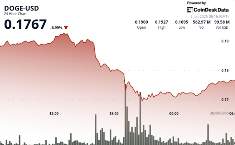 Harga Dogecoin Turun Drastis Karena Ketegangan Elon Musk dan Donald Trump