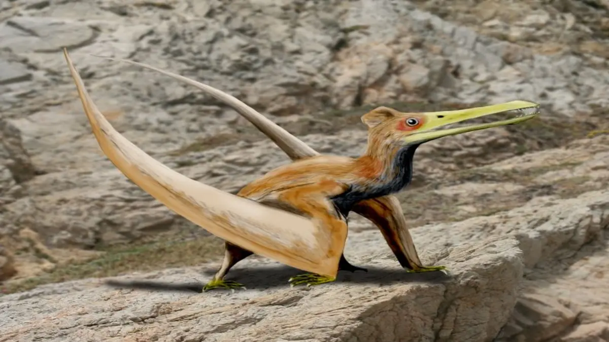 Penemuan Pterosaurus Baru di Jepang Membuka Jejak Terbang Purba
