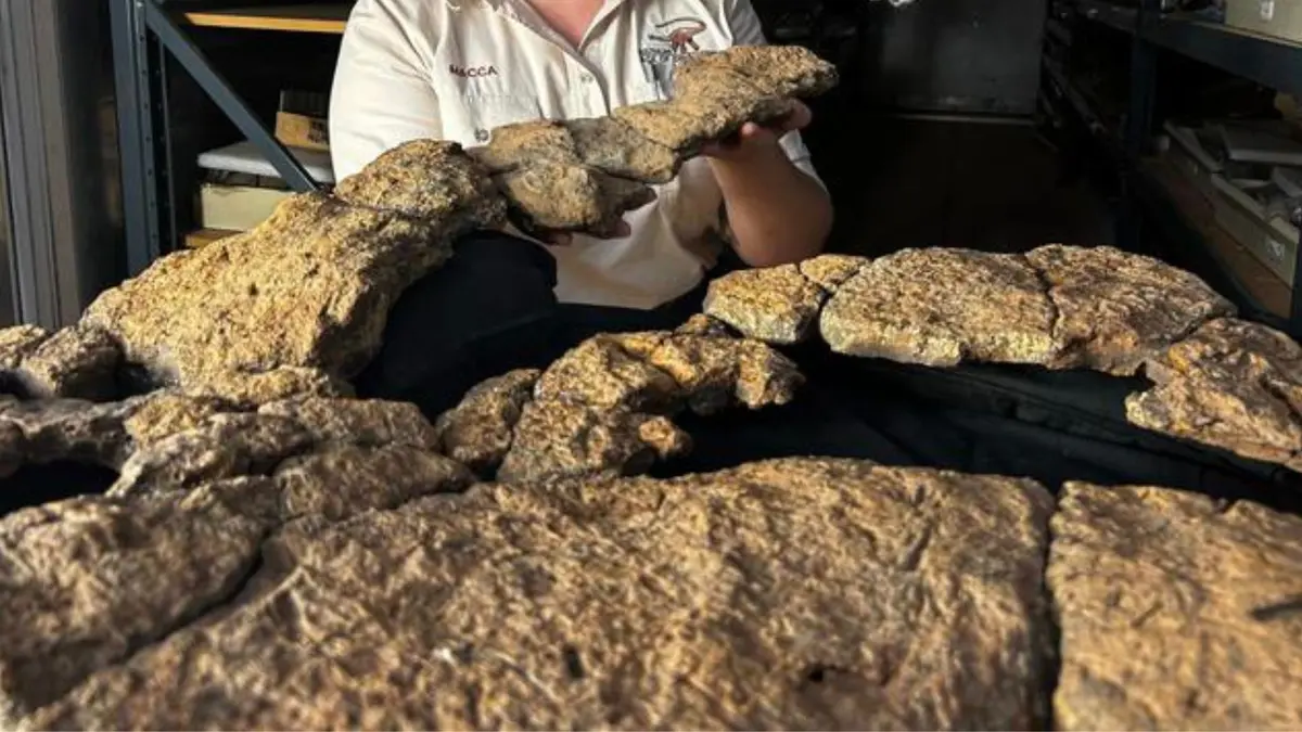 Penemuan Isi Perut Fosil Sauropoda Ungkap Pola Makan Rahasia Dinosaurus Leher Panjang