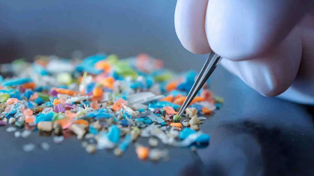 Bahaya Mikroplastik Plastik Biodegradable PLA bagi Kesehatan Tubuh dan Usus