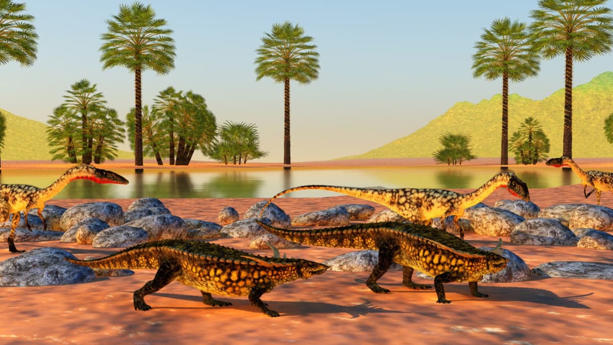 Reptil Purba Bertahan dan Migrasi 10.0.00 km (000 Mil) di Tengah Panas Ekstrem Trias